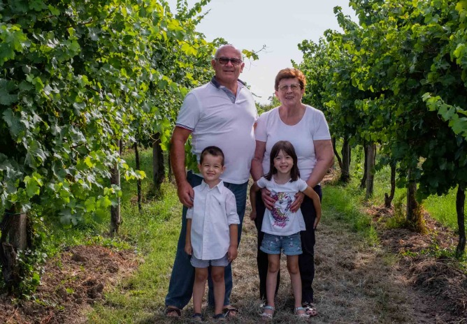 începuturile cramei Molon Luigino în podgoriile Veneto