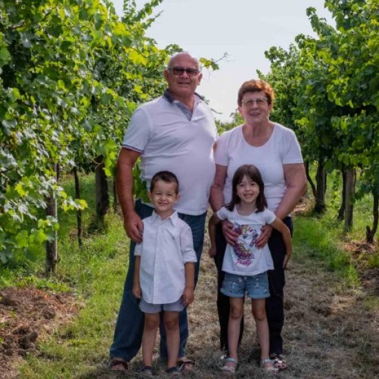 începuturile cramei Molon Luigino în podgoriile Veneto